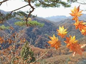 今年高速10月1号高速免费多少天，今年十月一号高速免费几天几点开始免费！