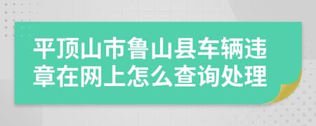 平顶山交通违章查询，平顶山交通违章查询官网电话！