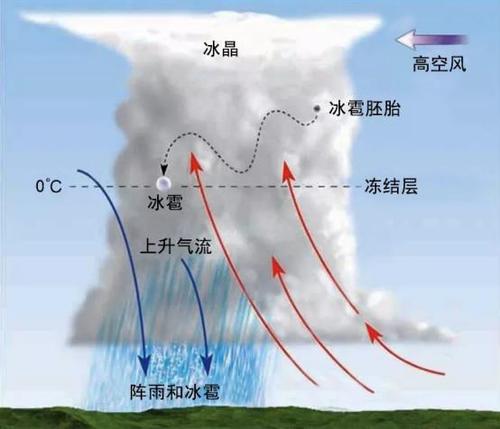 日照为什么不下雪，日照为什么这么多雨？