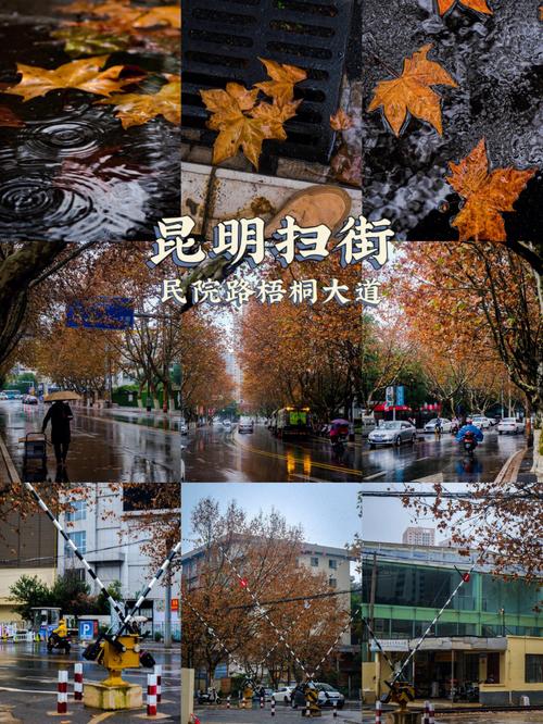 昆明市新闻路为什么叫？昆明市新闻路为什么叫新闻路呢？