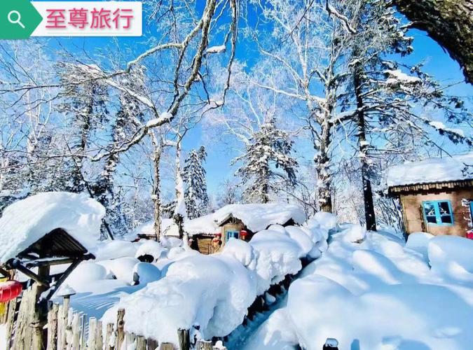 雪乡为什么坑，雪乡出了什么事！