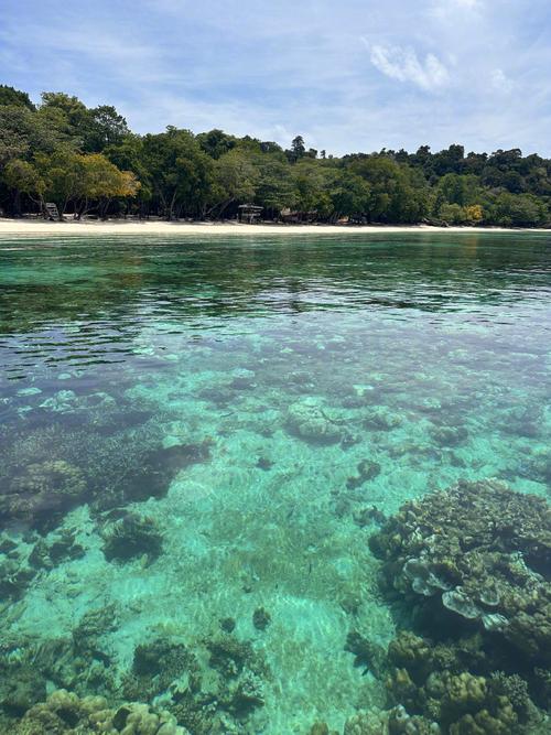 为什么泰国的海那么清，泰国的海水