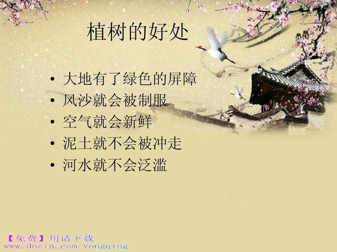 为什么春天种树？为什么春天种树比夏天好？