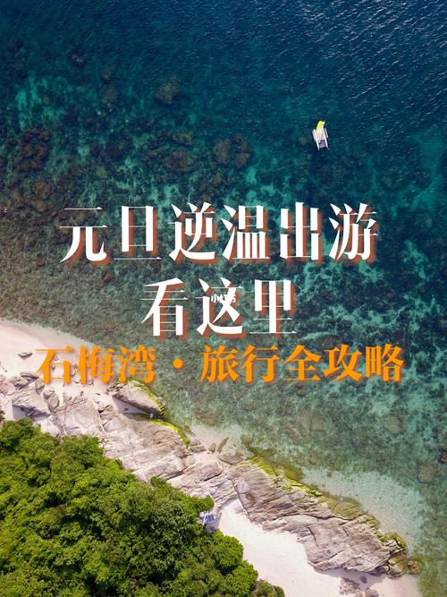 为什么跨年海岛，为什么跨年海岛不能玩！