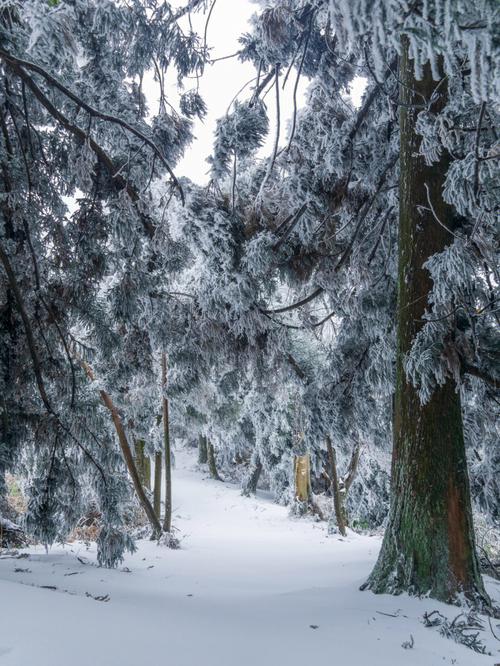 湖南为什么下雪？湖南为什么雪变少了？