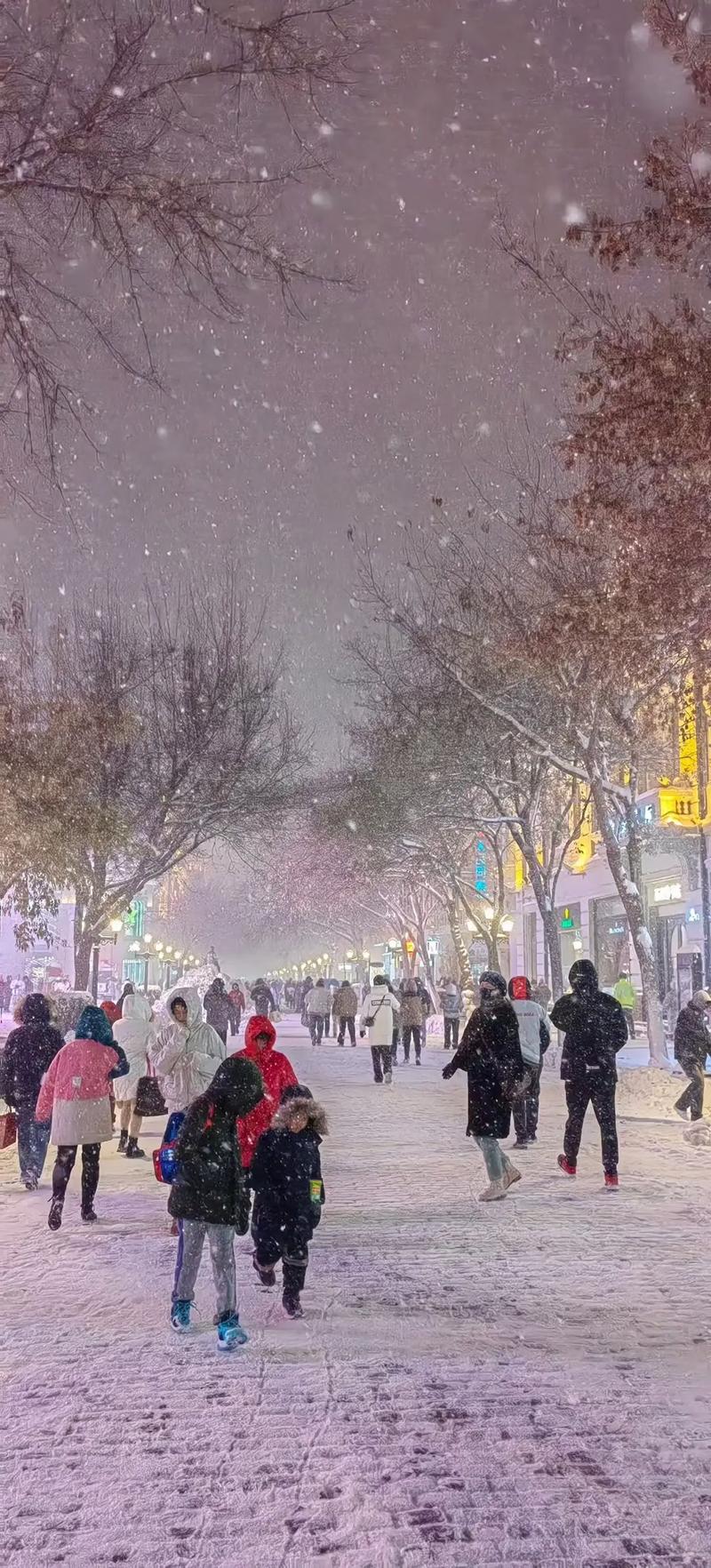 为什么哈尔滨会下雪，为什么哈尔滨会下雪的原因