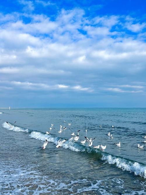 青海湖为什么是蓝色的？青海湖为什么这么湛蓝？