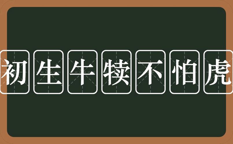 牛为什么怕老，牛为什么不怕老虎！